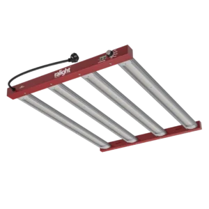 Ralight LED 250W 40x60cm