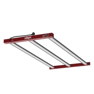 Ralight LED 360W 60x120cm