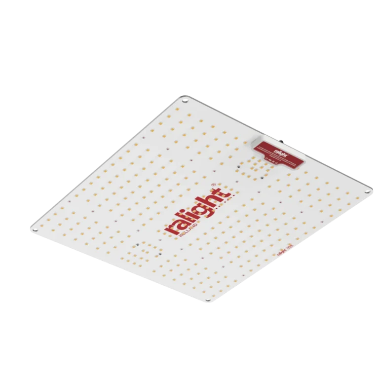Ralight LED QBoard 240W